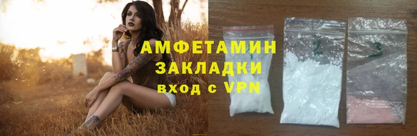 ешки Аркадак