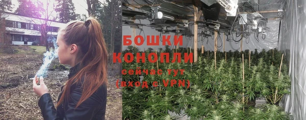 ешки Аркадак